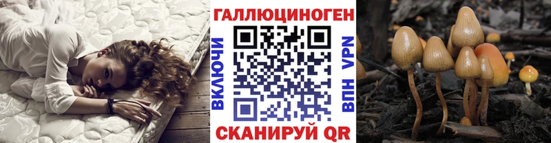 Псилоцибиновые грибы Psilocybe  как найти наркотики  Голицыно 